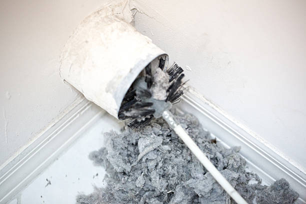 Air Duct Mold Removal in Moses Lake North, WA